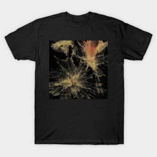 Fairy Dust Flowers Abstract on Black T-Shirt